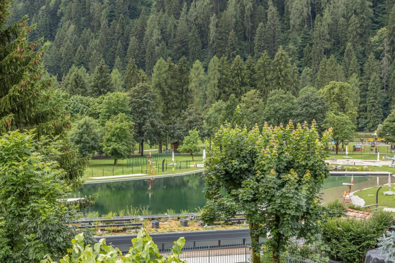 Chalet Mountain Plaza - Apt Greenvalley Пинцоло Экстерьер фото